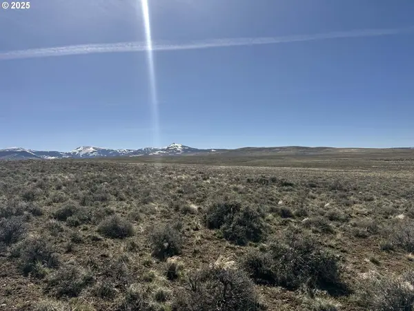 Mcdowell Creek Rd #TL 204, Plush, OR 97637