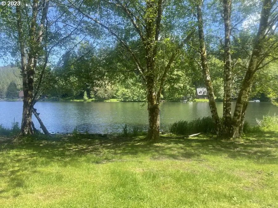 71378 Northshore Dr, Birkenfeld, OR 97016 - #2