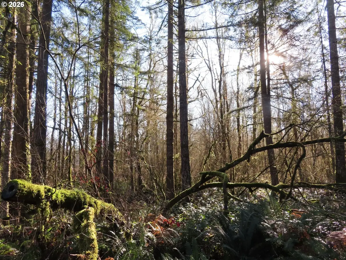 115 Campground Ln, Winlock, WA 98596 - Image #1