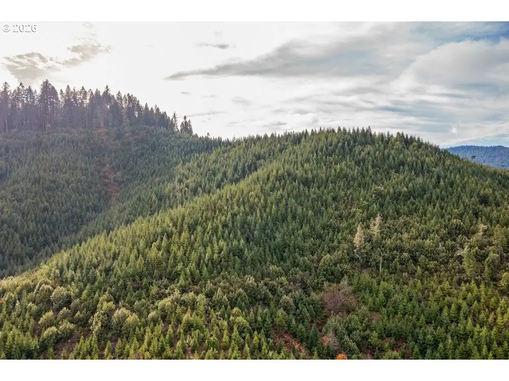 Mcmullen Creek Rd, Selma, OR 97538 - #1