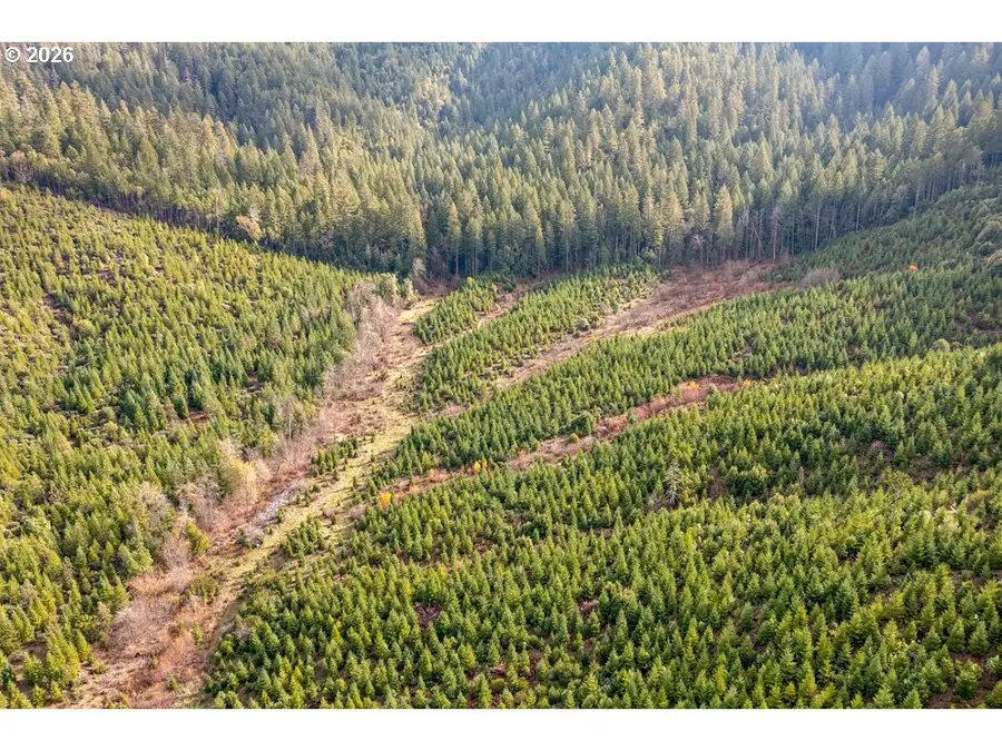 Mcmullen Creek Rd, Selma, OR 97538 - #3