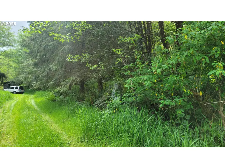 Svensen Market Rd, Astoria, OR 97103 - Image #2