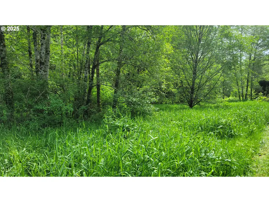 Svensen Market Rd, Astoria, OR 97103 - Image #3