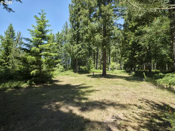 Loowit Ln, Cougar, WA 98616