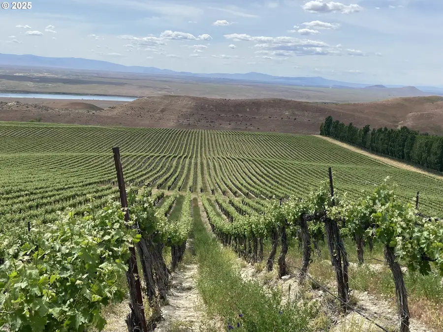 Ash Rd, Mesa, WA 99343 - Image #2