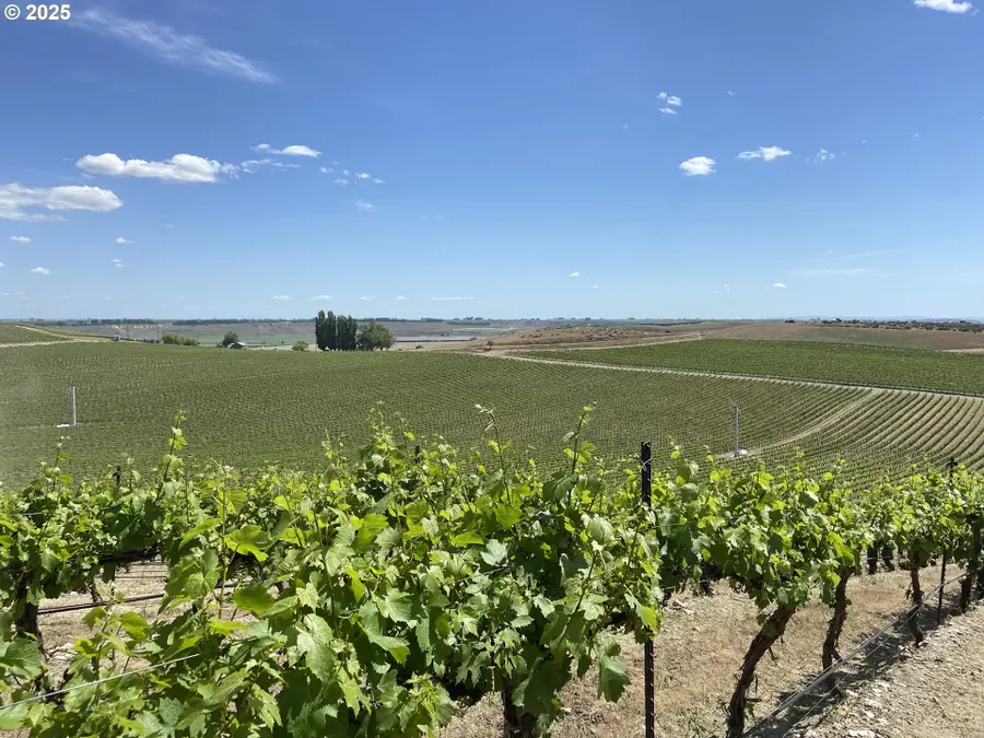 Ash Rd, Mesa, WA 99343 - Image #3