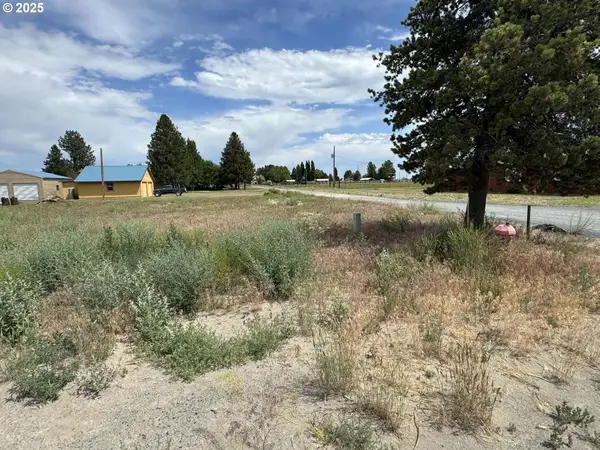 Holly Ln #600, ChristmasValley, OR 97641