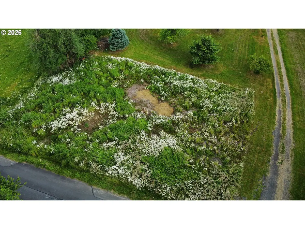 1211 8th St, Vader, WA 98593 - #1
