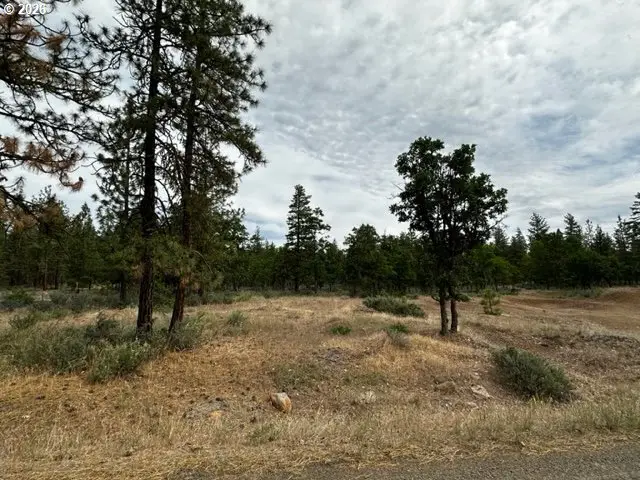 71 Teal Ln, Goldendale, WA 98620 - #1