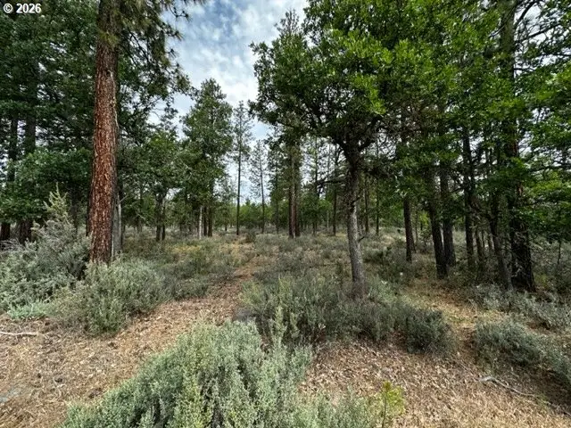 71 Teal Ln, Goldendale, WA 98620 - #3