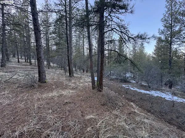 Bobcat Cir #Lot 7, Beatty, OR 97621