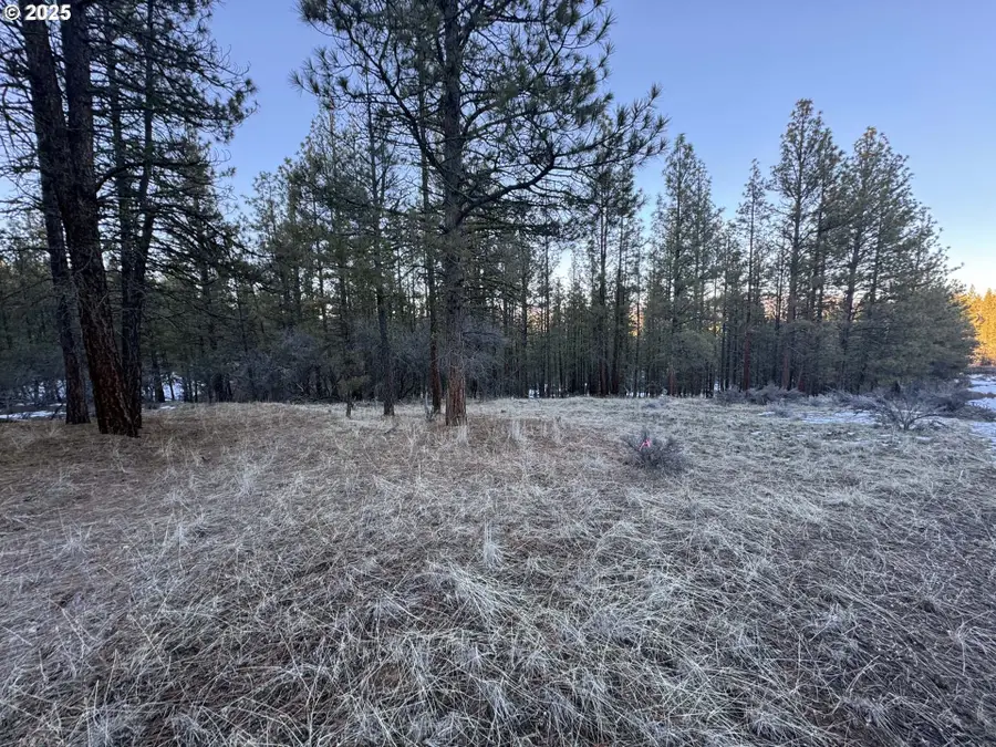 Bobcat Cir #Lot 7, Beatty, OR 97621 - Image #2
