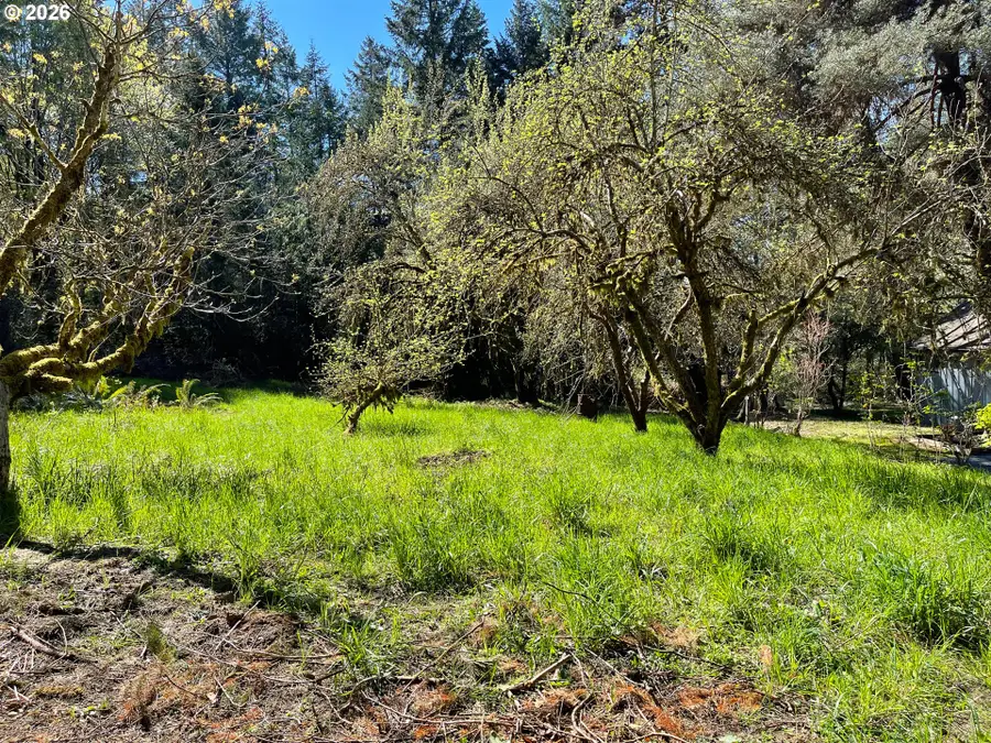 49640 NW South Rd, Gaston, OR 97119 - #3