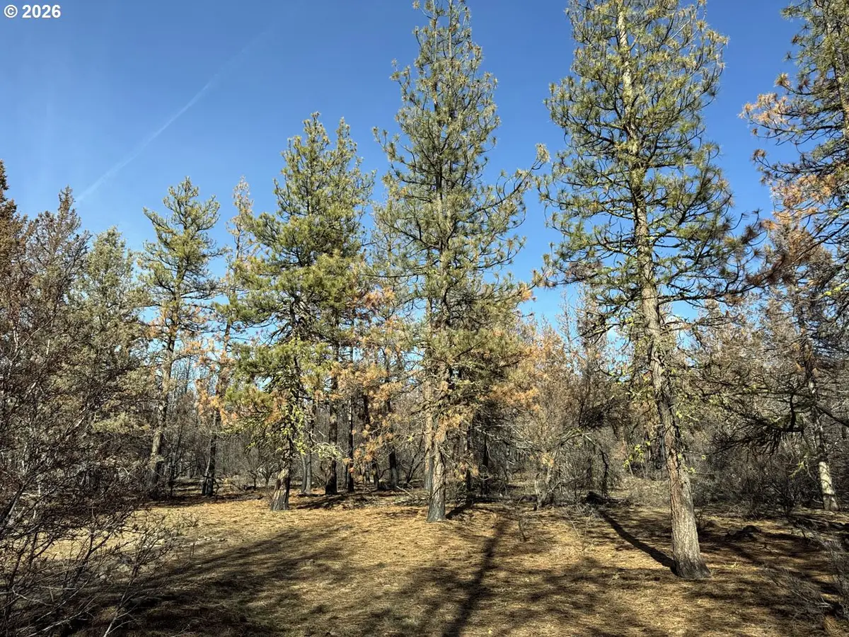 Hummingbird Dr #4, Bonanza, OR 97623 - #1