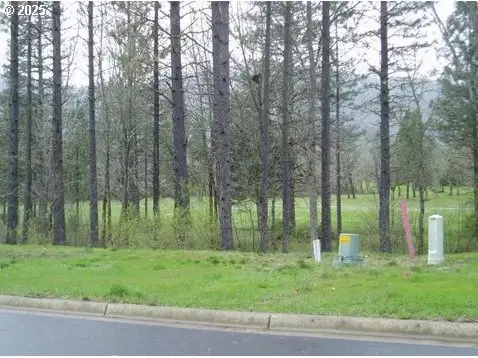 1308 Green Valley Dr, Cave Junction, OR 97523 - Image #1