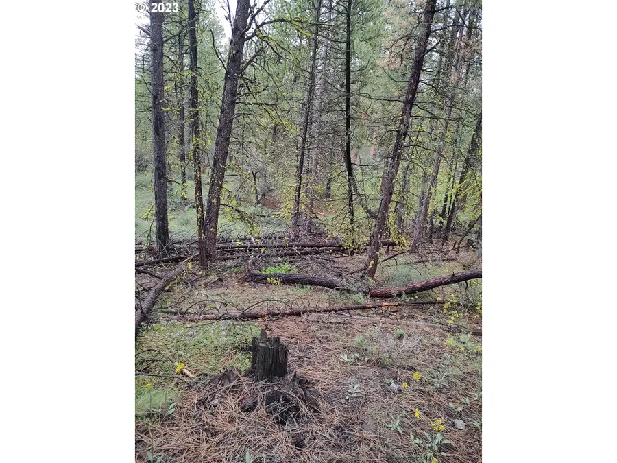 1 Forest Rd 9715, Chiloquin, OR 97624 - #3