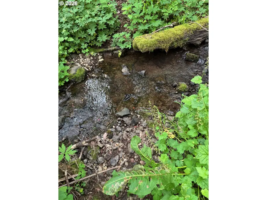 0 Green Mountain Rd, Kalama, WA 98625 - #3