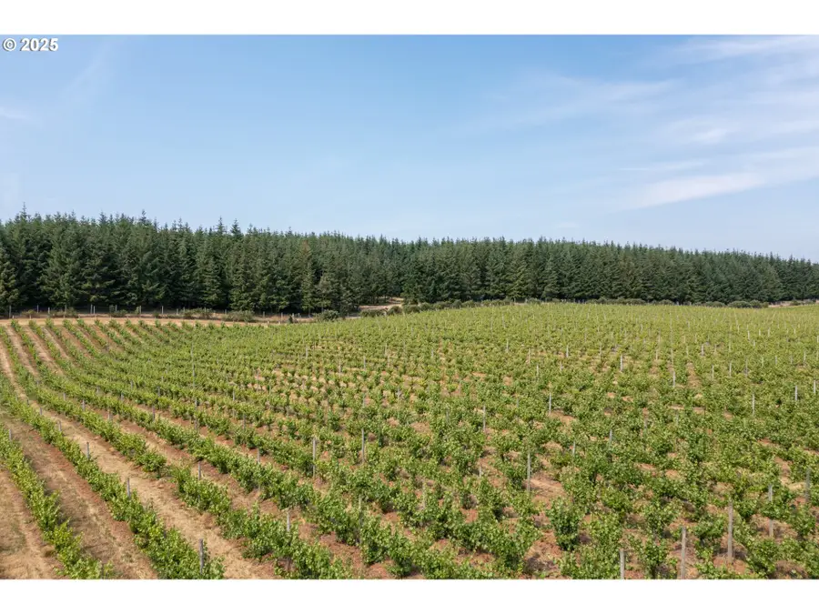 0 Pioneer Rd, Dallas, OR 97338 - Image #3