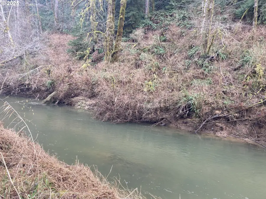 94296 Horton Rd, Blachly, OR 97412 - Image #2