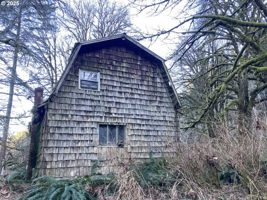 94296 Horton Rd, Blachly, OR 97412 - Image #3