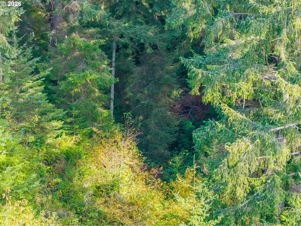 00 Molakai Vista Rd, Bandon, OR 97411 - #1