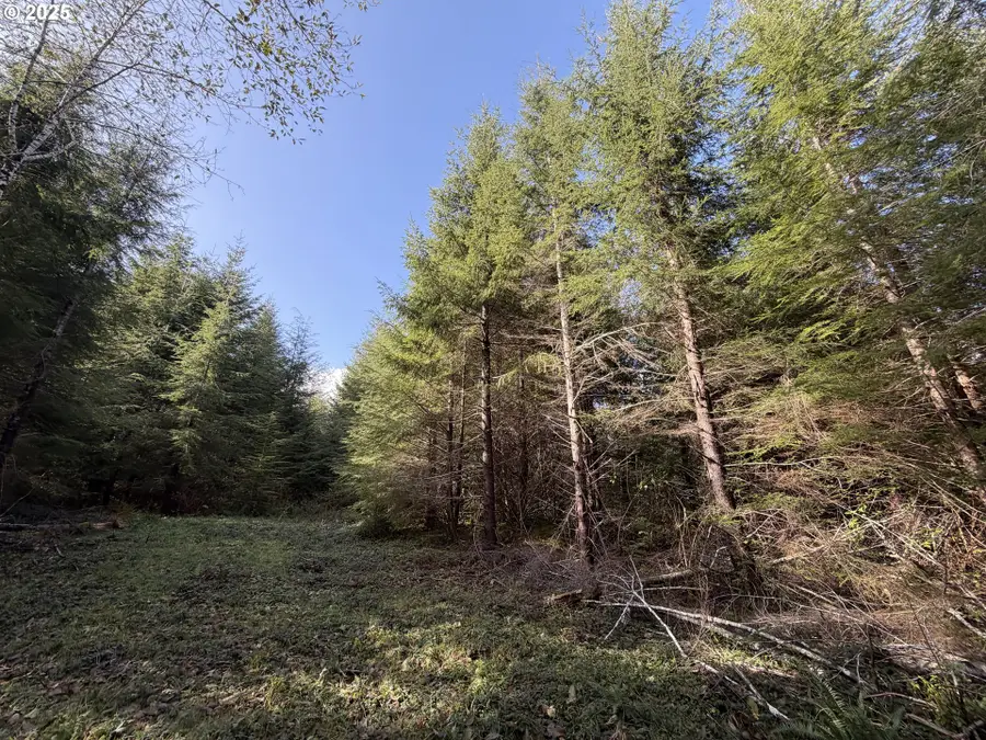 Necanicum Hwy, Seaside, OR 97138 - Image #2