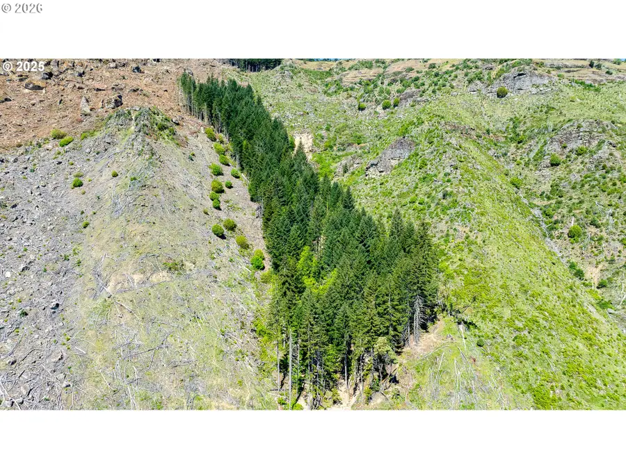 0 Snowberry Rd, Roseburg, OR 97471 - #3