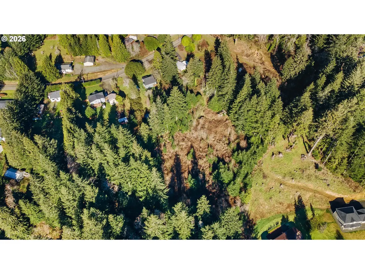 62251 Olive Barber Rd, Eastside, OR 97420 - Image #1