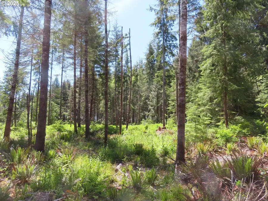 1515 Kirkpatrick Rd, Hoquiam, WA 98550 - Image #2