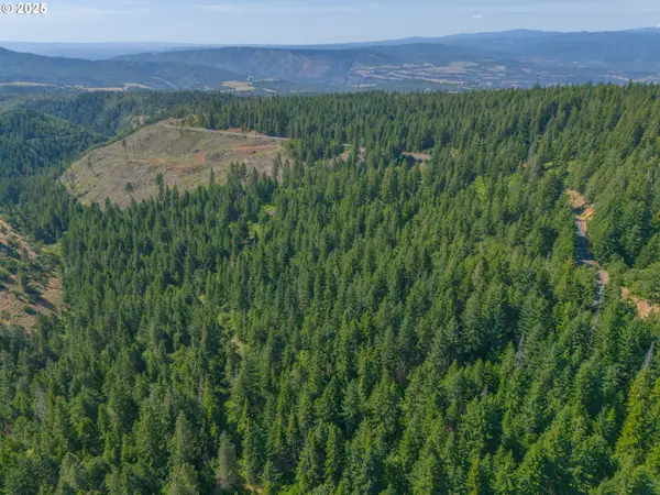 518 Canyon Rd, Lyle, WA 98635