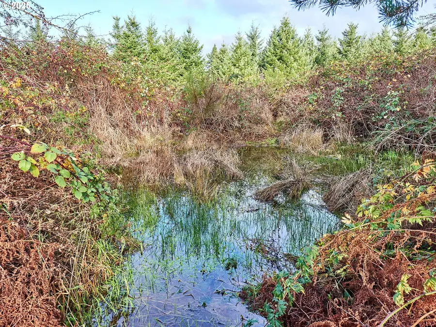 15931 S Forest Haven Rd, Molalla, OR 97038 - Image #3