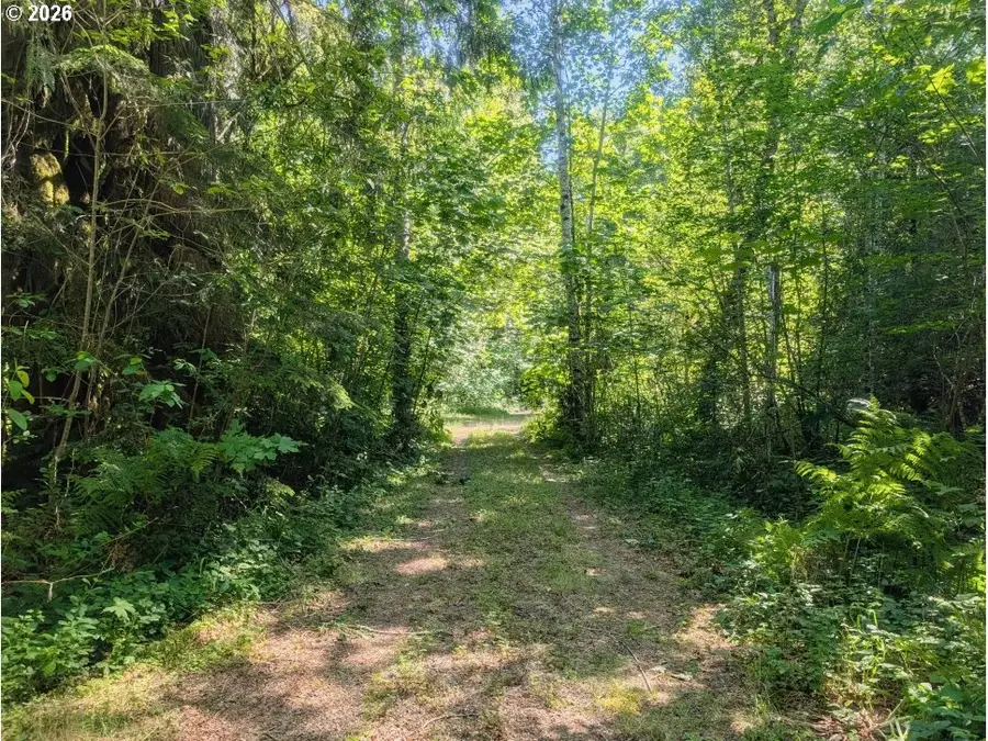 20284 E Carnarvon Dr, Rhododendron, OR 97049 - #2
