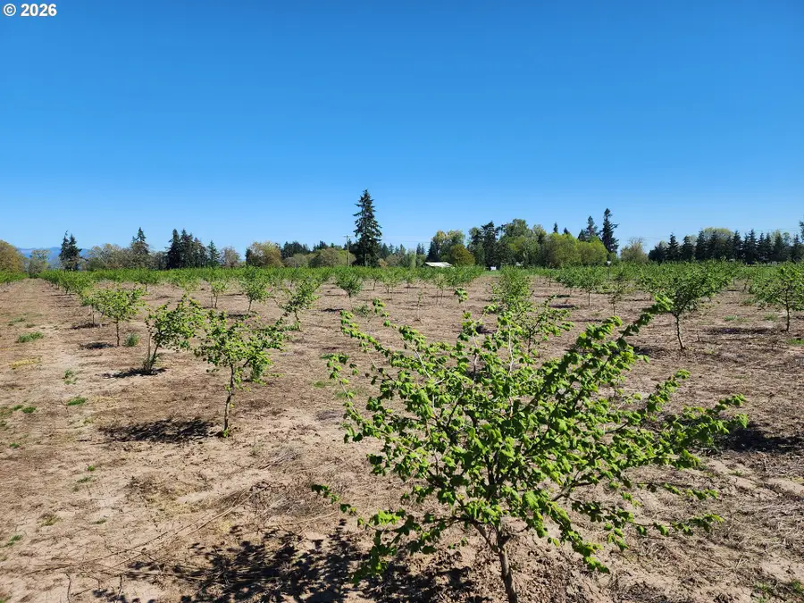 36501 Gilkey Rd, Scio, OR 97374 - #3