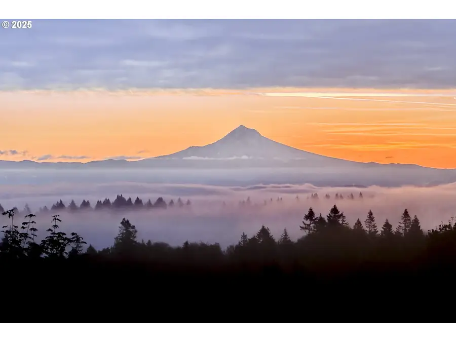 7910 NW Gales Ridge Ln, Portland West, OR 97229 - Image #2