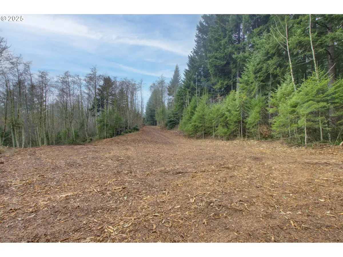 NE Hancock Rd, Camas, WA 98607 - Image #1