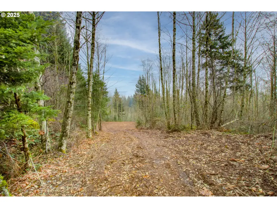 NE Hancock Rd, Camas, WA 98607 - Image #3