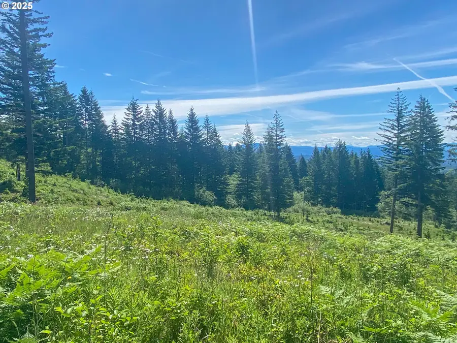 NE Hancock Rd #1, Camas, WA 98607 - Image #2