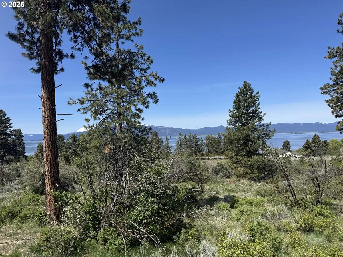 Oregon Shores Drive #18, Chiloquin, OR 97624 - Image #1