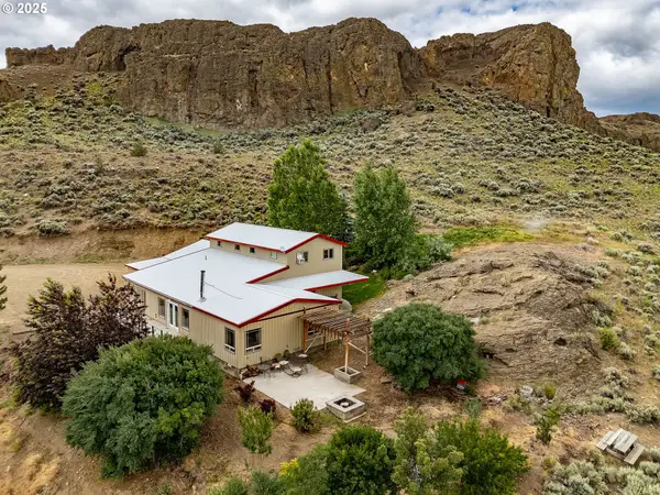 82678 Shotgun Pass Ln, ChristmasValley, OR 97641