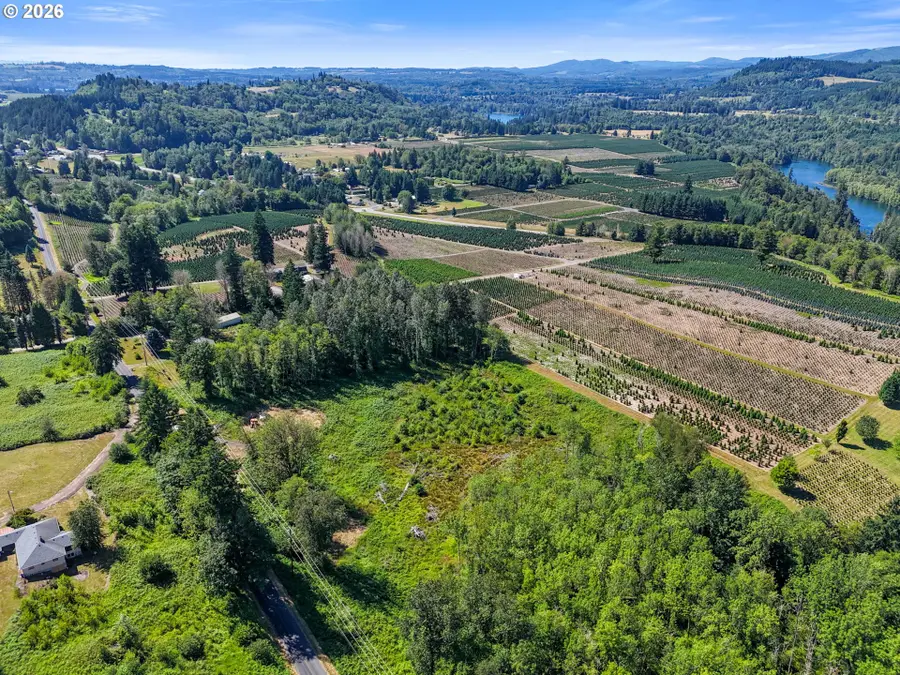 233 Young Rd, Mossyrock, WA 98564 - #2