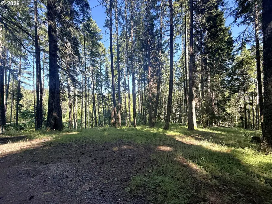 440 Forest Dr, Azalea, OR 97410 - #3