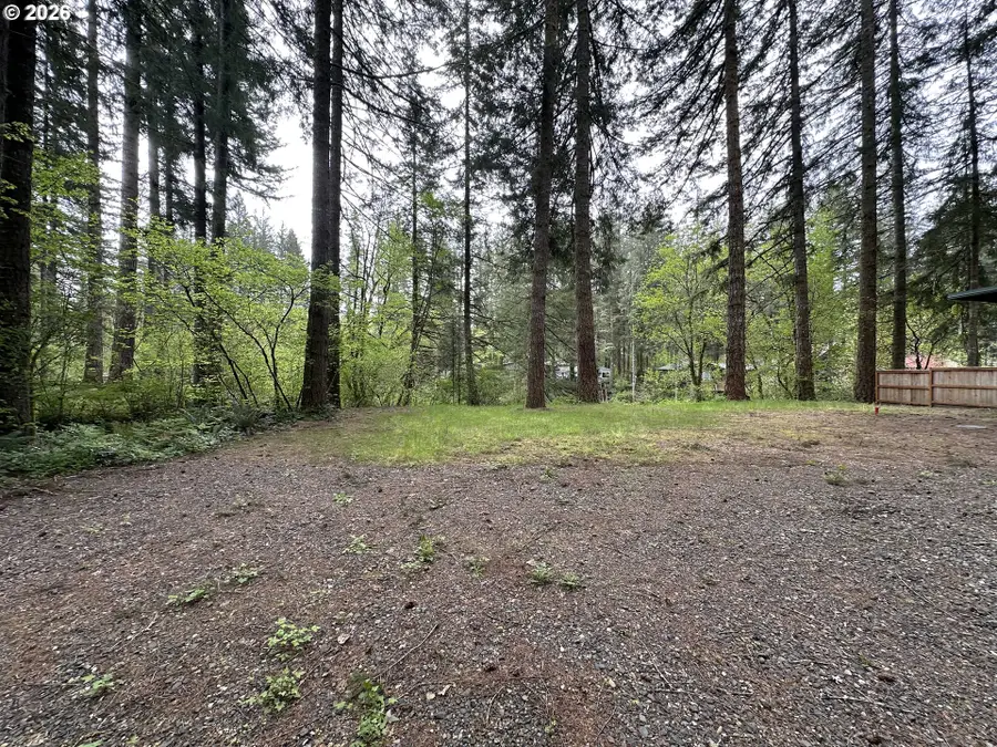 30703 NE Olson Rd, Yacolt, WA 98675 - #2