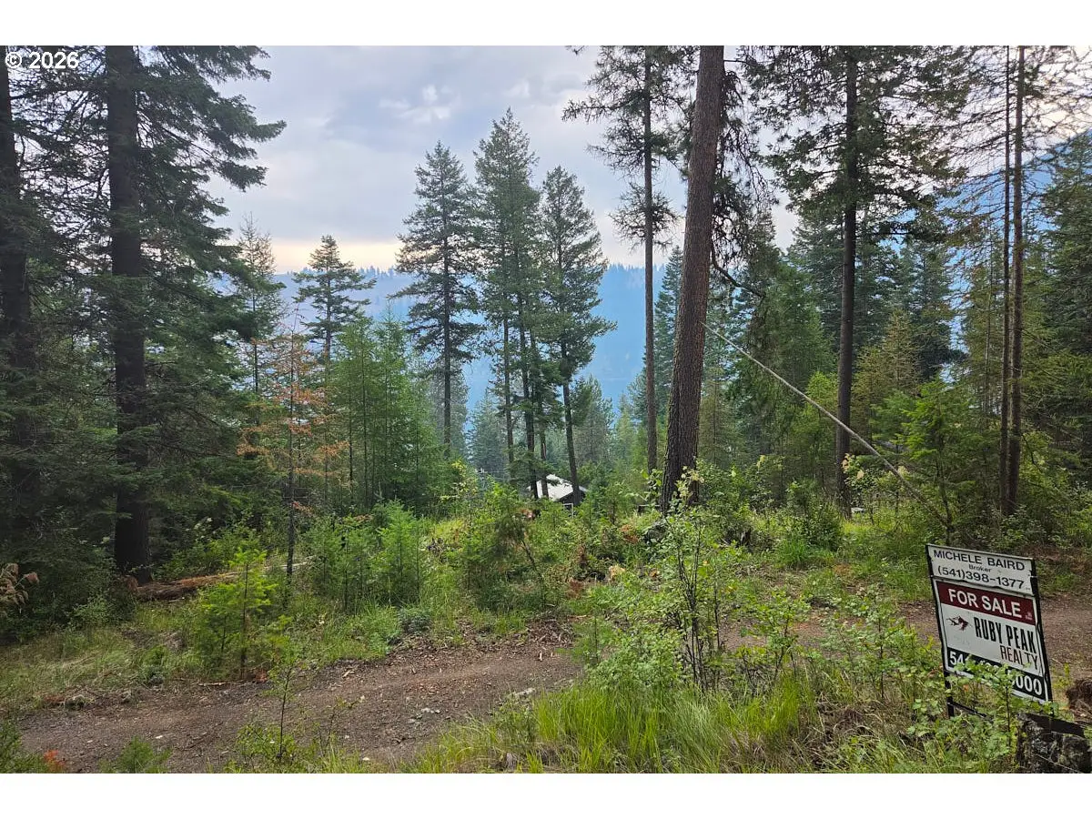 Chipmunk Lane, Wallowa Lake, OR 97846 - #1