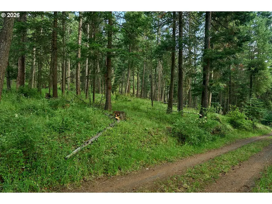 Chipmunk Lane, Wallowa Lake, OR 97846 - #2