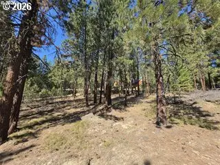 Dewey, Sumpter, OR 97877 - #3