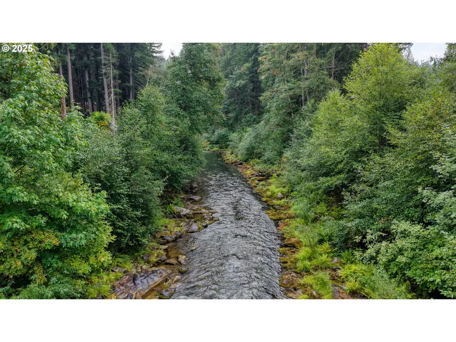 202 Edgewater Dr, Carson, WA 98610 - Image #3