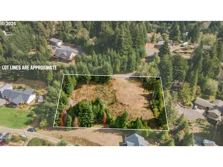 0 Laurel Park Ln, Eastside, OR 97420 - Image #3