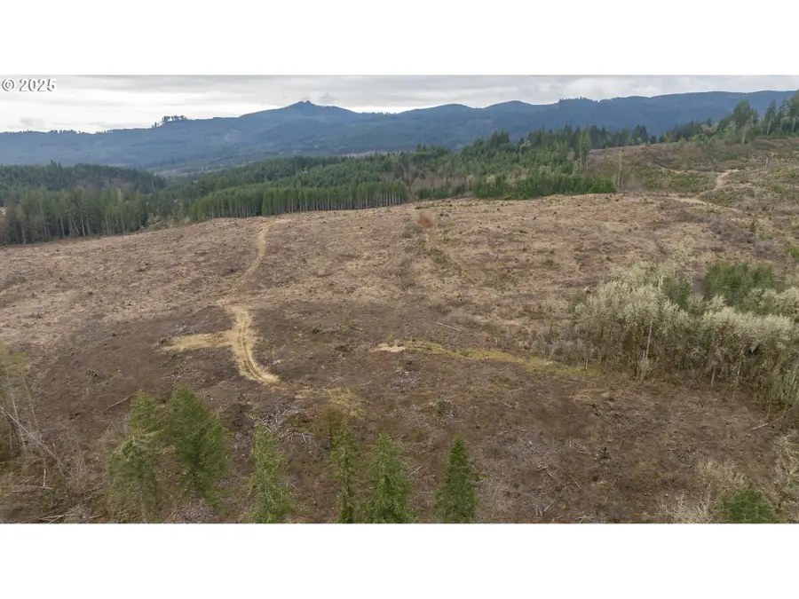 0 Panther Creek Rd, Carlton, OR 97111 - #2