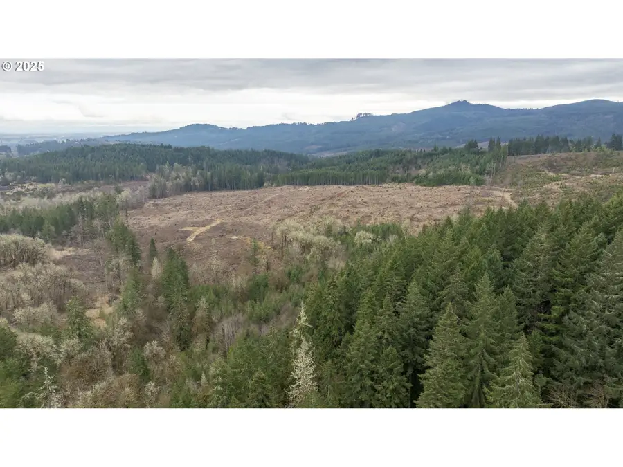 0 Panther Creek Rd, Carlton, OR 97111 - #3
