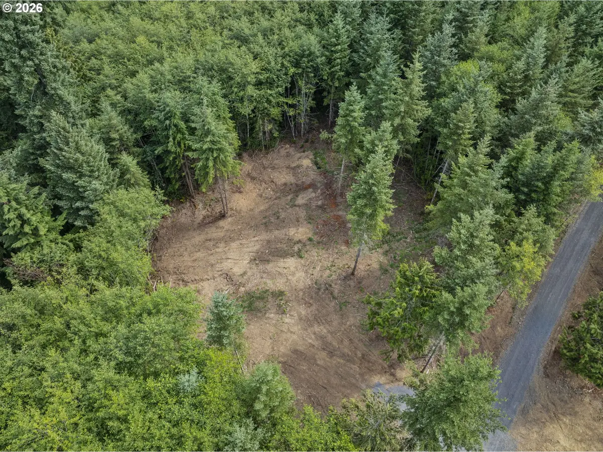 217 Durins Pl, Castle Rock, WA 98611 - #1